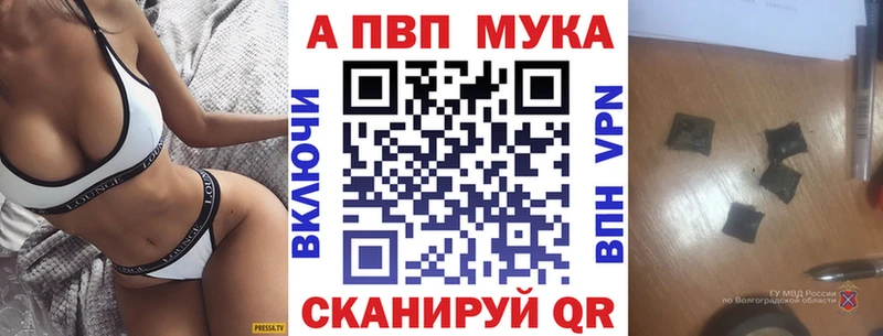 Альфа ПВП СК КРИС  Пучеж 