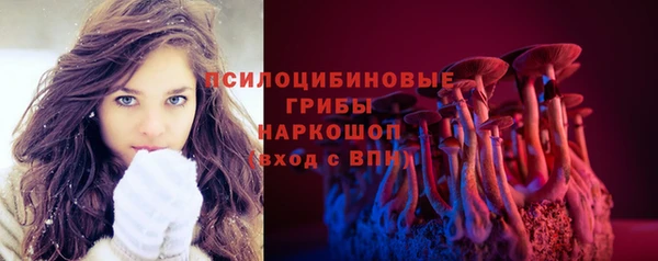 эйфоретик Абинск