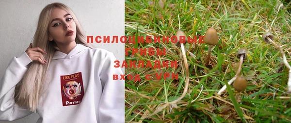 а пвп мука Алзамай