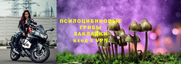а пвп мука Алзамай